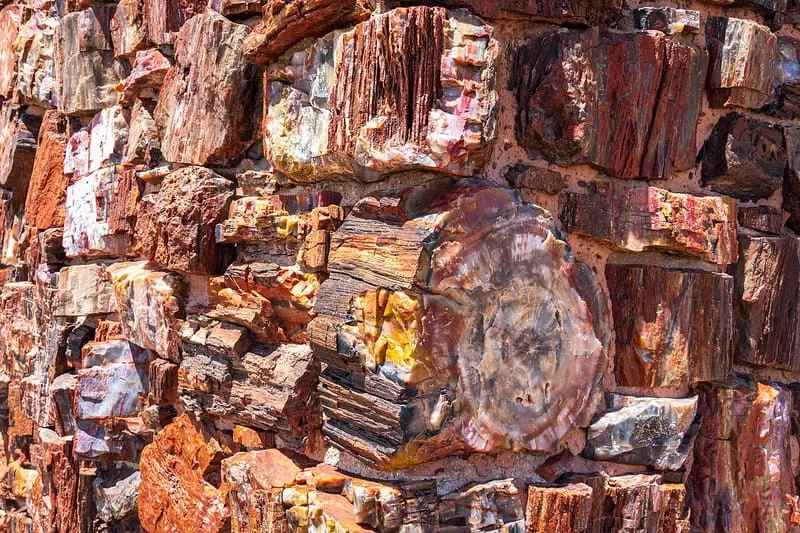 Agate House, photograph 3