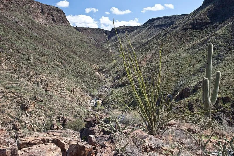 Agua Fria National Monument, photograph 3