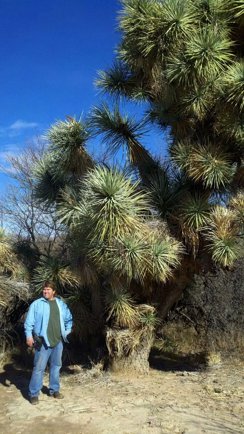Alamo Lake State Park, photograph 2