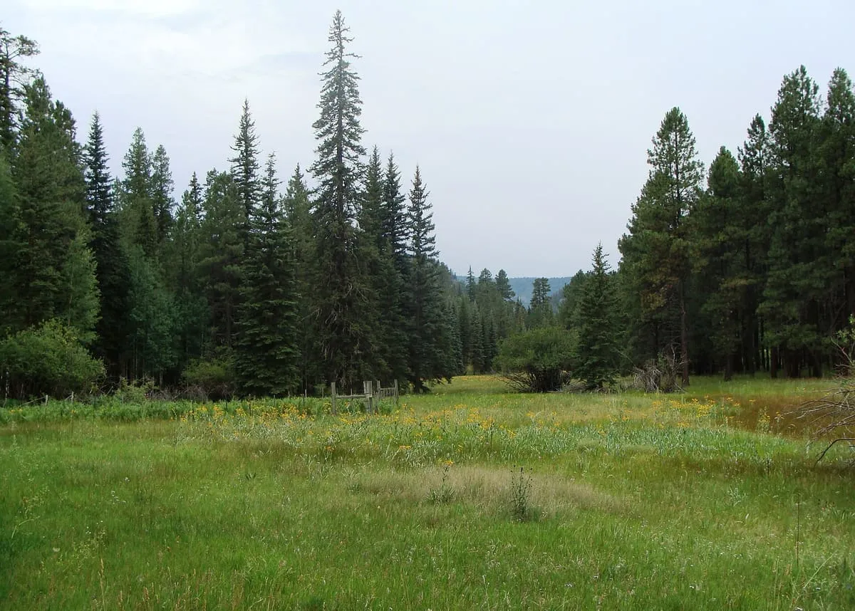 Apache-Sitgreaves National Forests