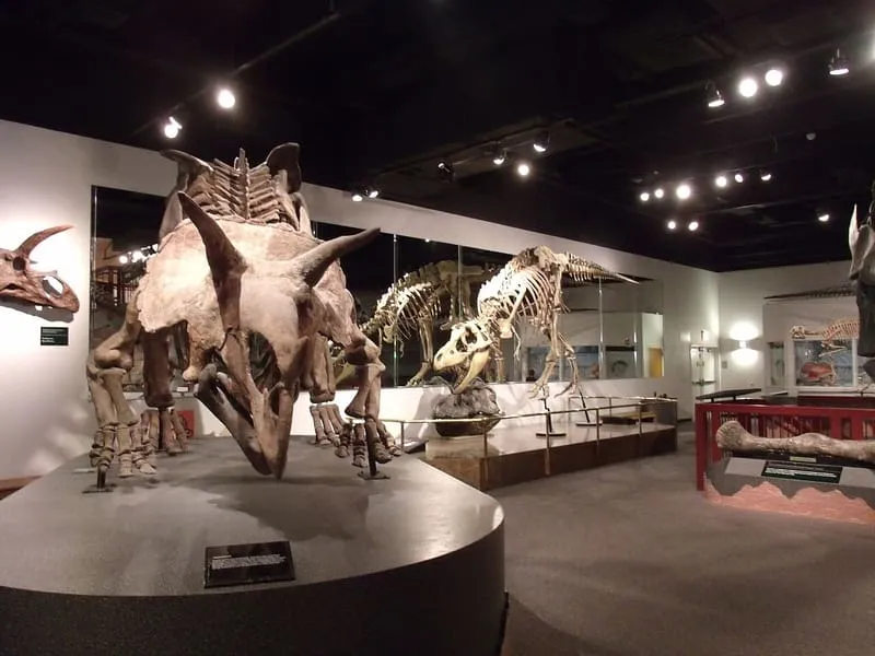 Arizona Museum of Natural History, photograph 2
