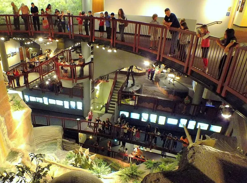 Arizona Museum of Natural History, photograph 3