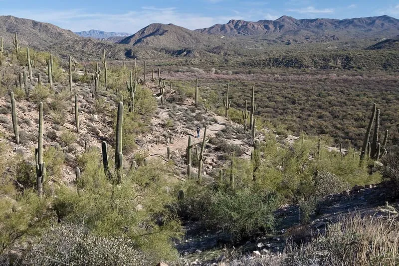 Arizona Trail, photograph 2