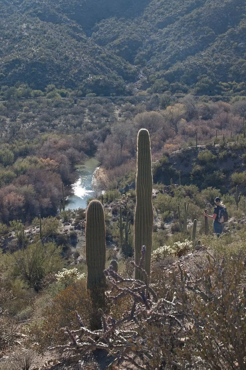 Arizona Trail, photograph 3