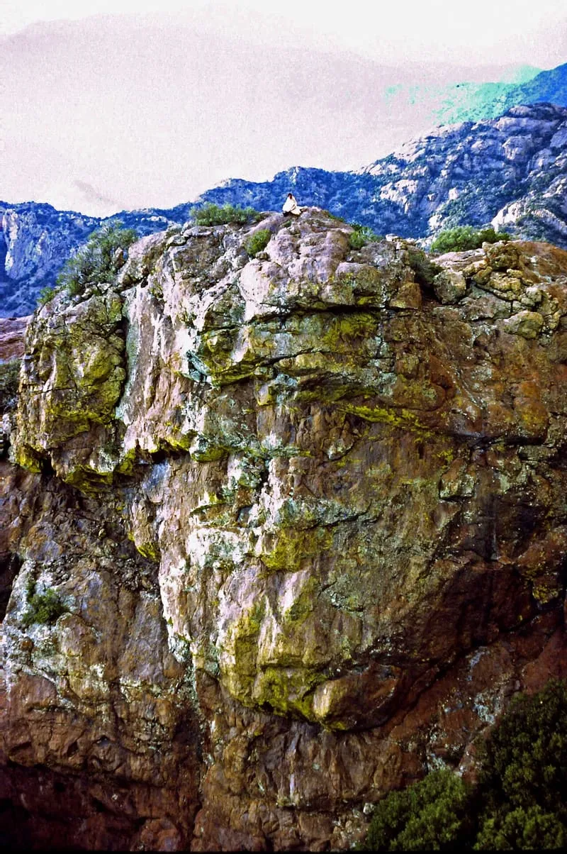 Baboquivari Peak Wilderness, photograph 3