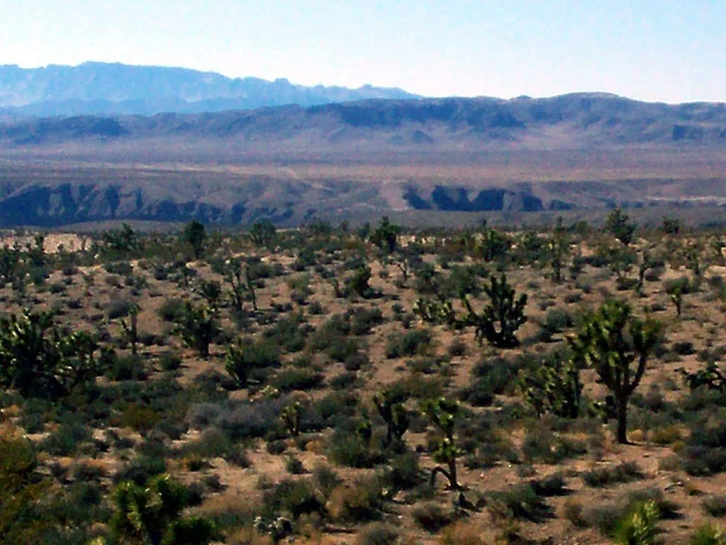Beaver Dam Wash
