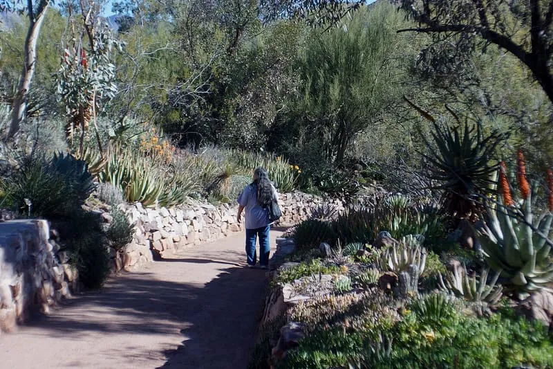 Boyce Thompson Arboretum, photograph 2