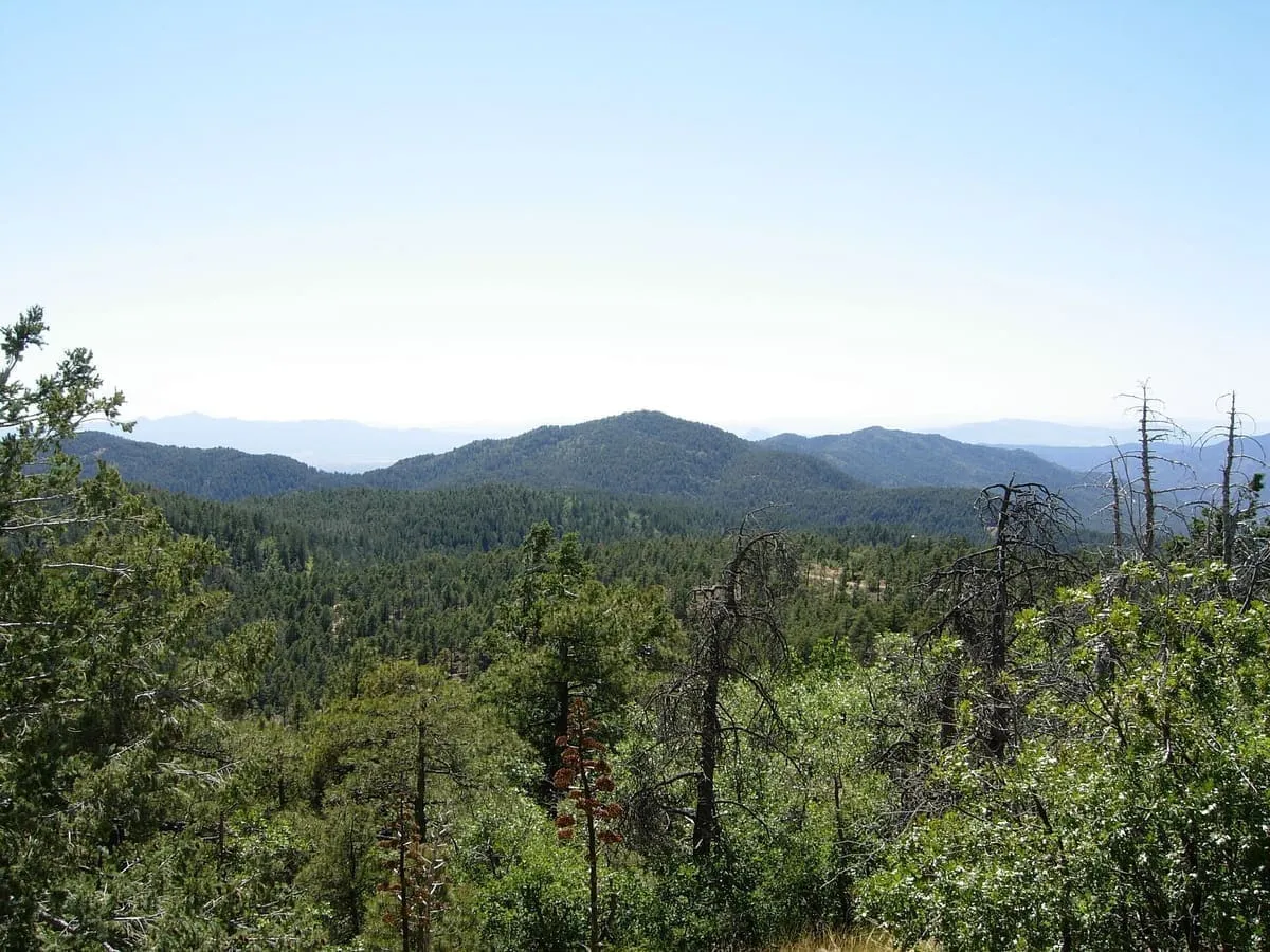 Bradshaw Mountains