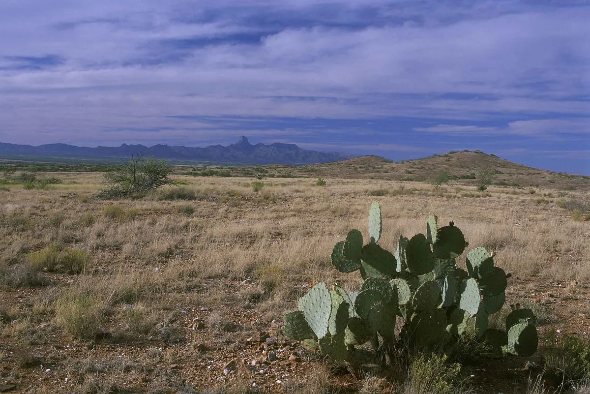 Buenos Aires National Wildlife Refuge