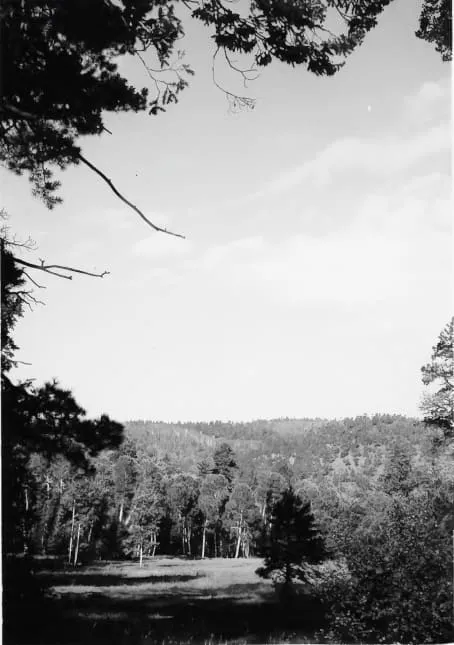 C. Hart Merriam Base Camp Site