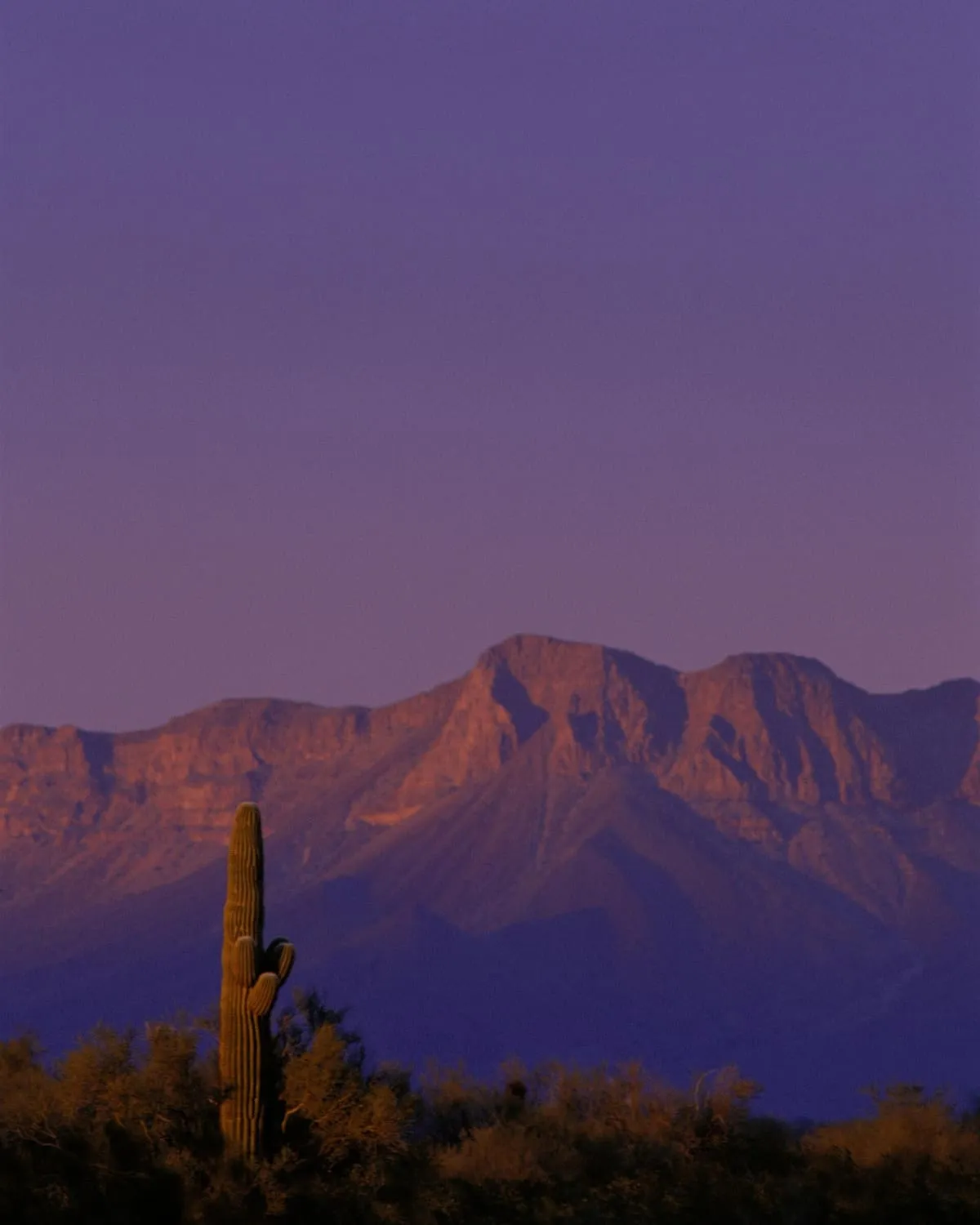 Cabeza Prieta National Wildlife Refuge