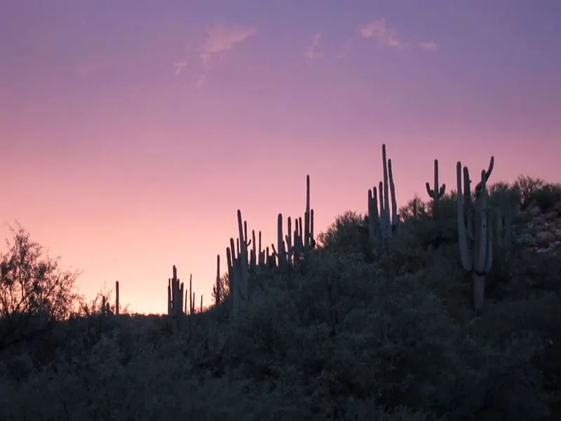 Catalina State Park, photograph 2