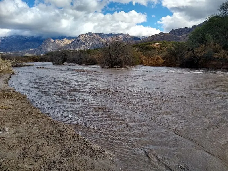 Catalina State Park, photograph 3