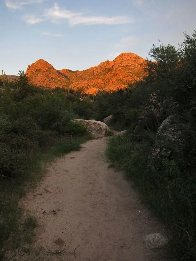 Catalina State Park