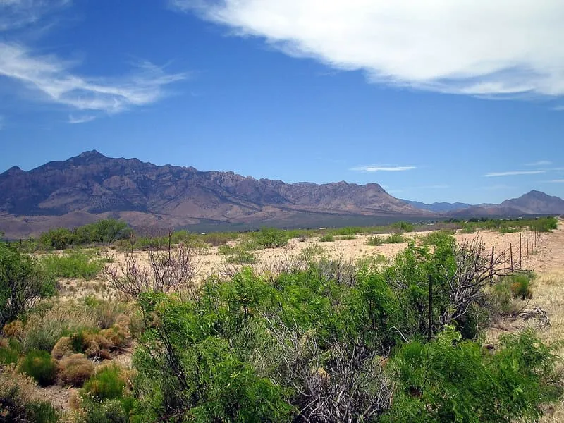 Chiricahua Mountains, photograph 2