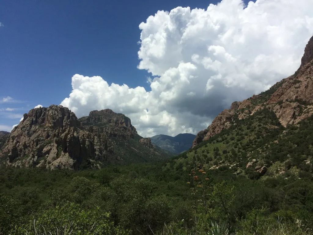 Chiricahua Mountains