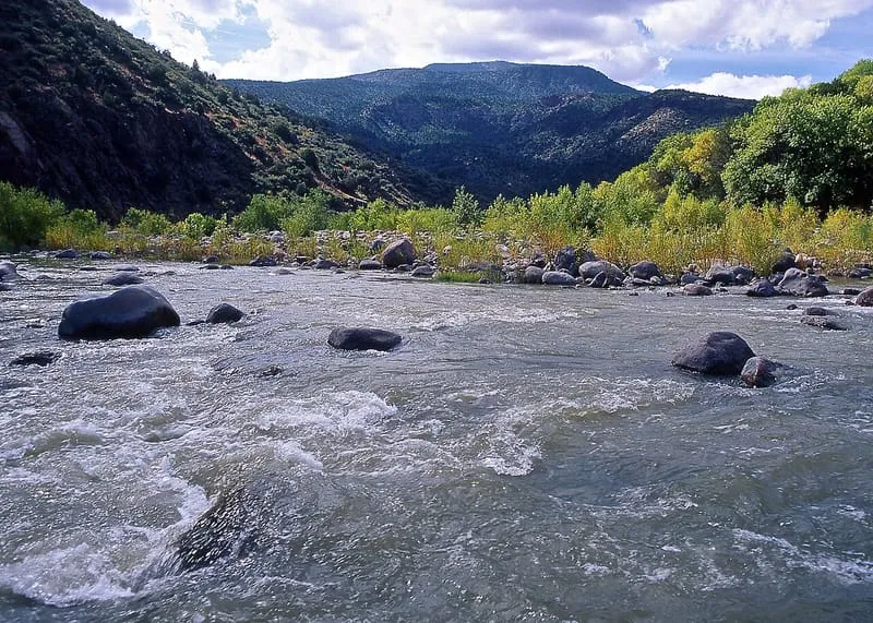 Coconino National Forest, photograph 2