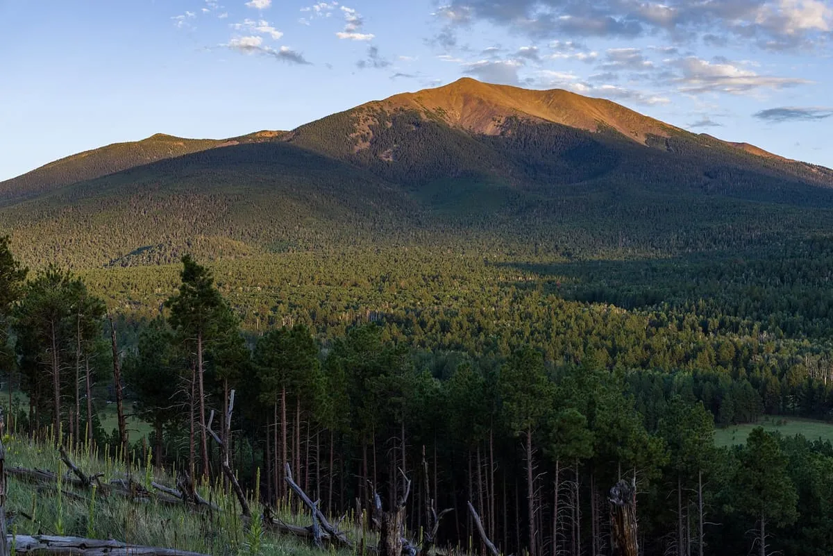 Coconino National Forest