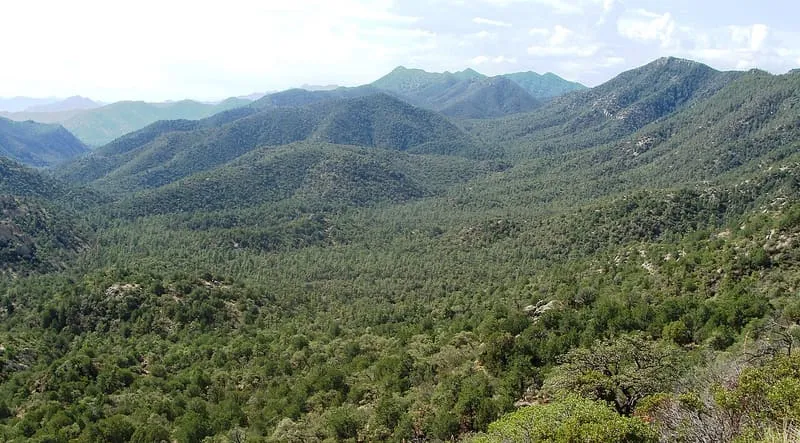 Coronado National Forest, photograph 3