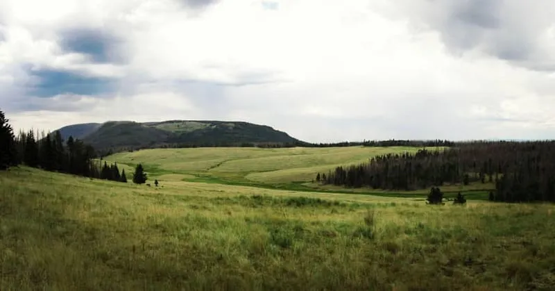 Escudilla Mountain, photograph 2