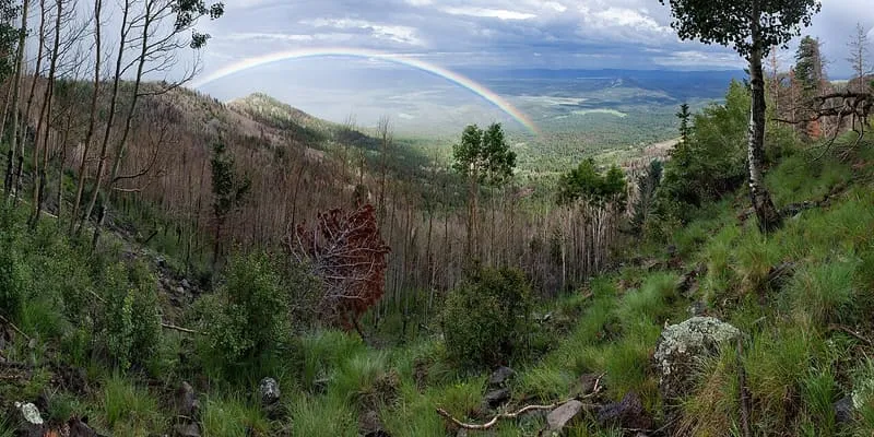 Escudilla Mountain, photograph 3