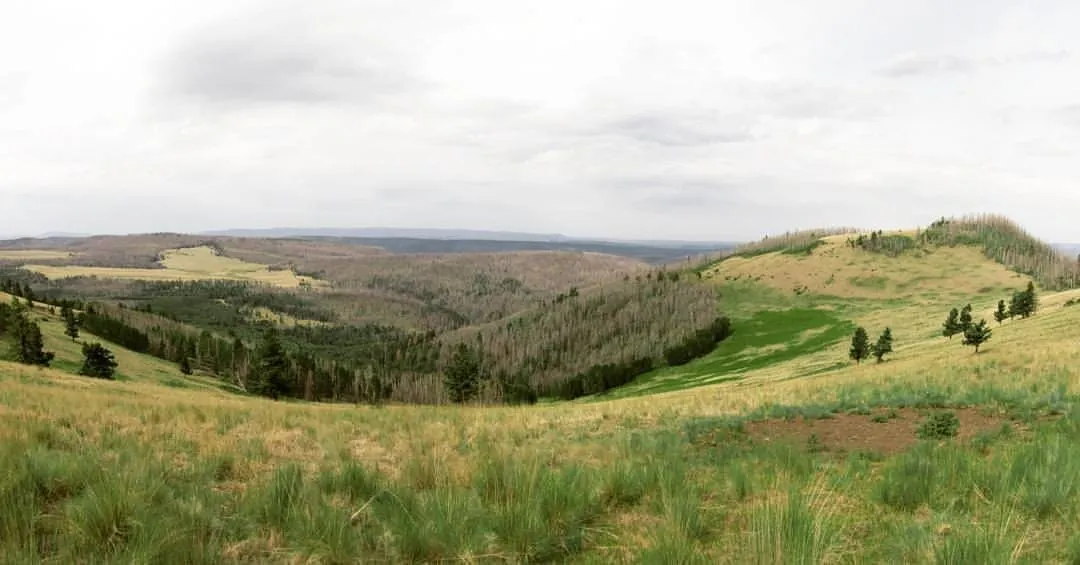 Escudilla Mountain