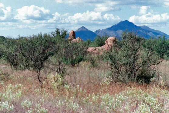 Guevavi Mission, photograph 2