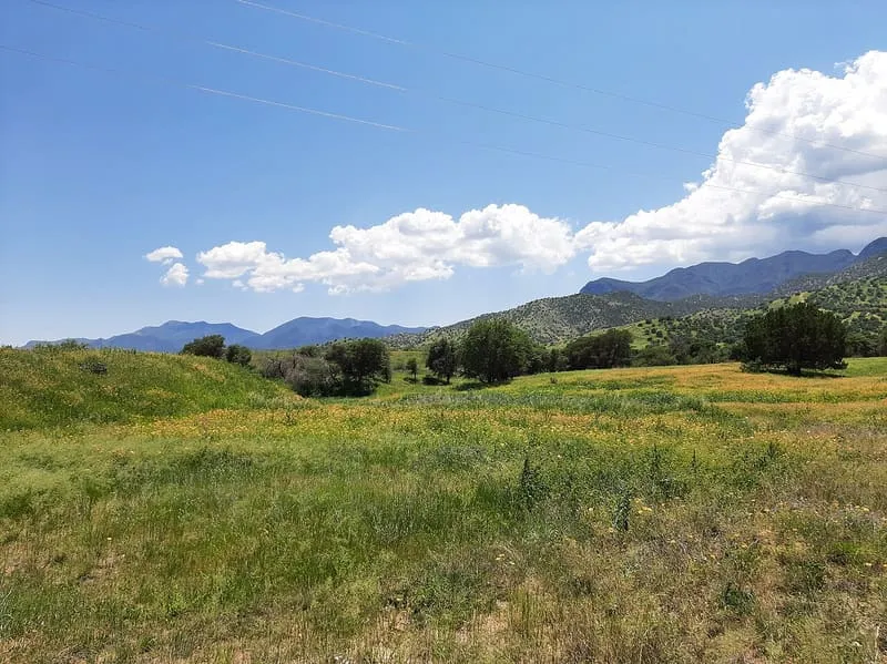 Huachuca Mountains, photograph 2