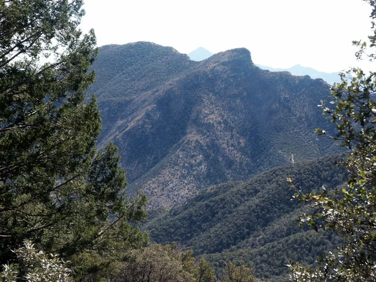 Huachuca Mountains