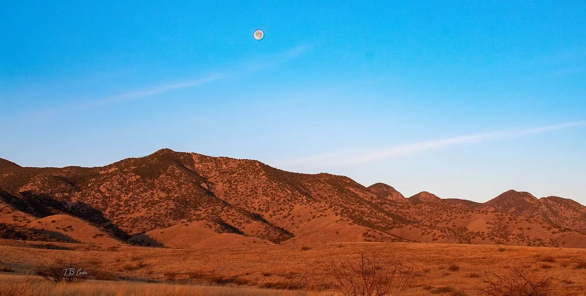Huachuca Mountains