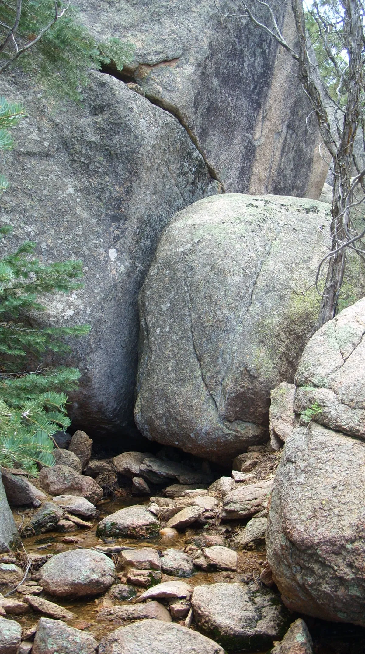 Hualapai Mountain Park