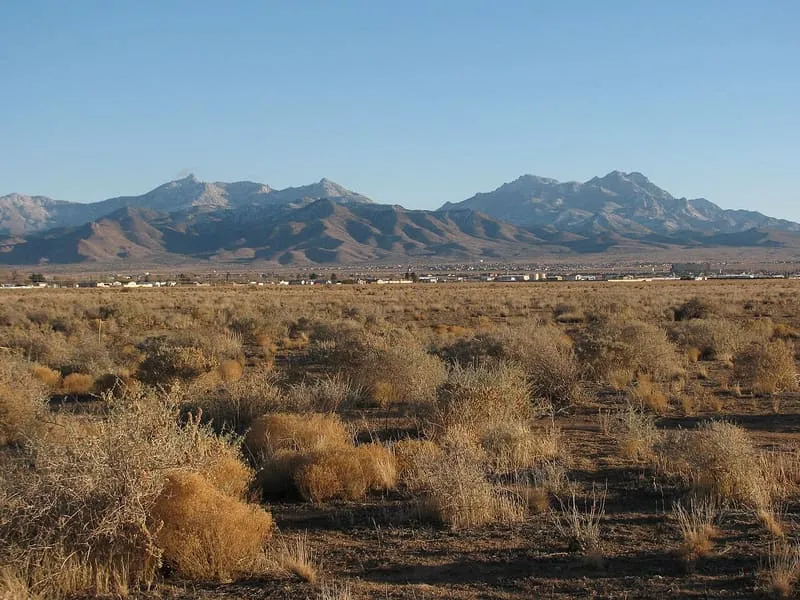 Hualapai Mountains, photograph 3