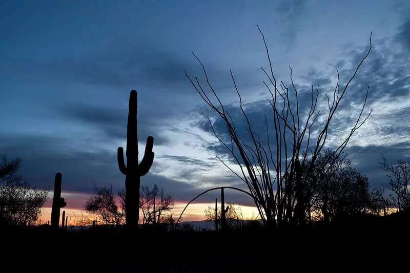 Ironwood Forest National Monument, photograph 2