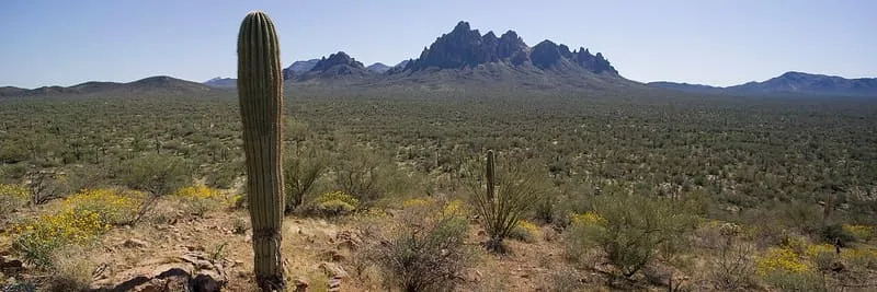 Ironwood Forest National Monument, photograph 3