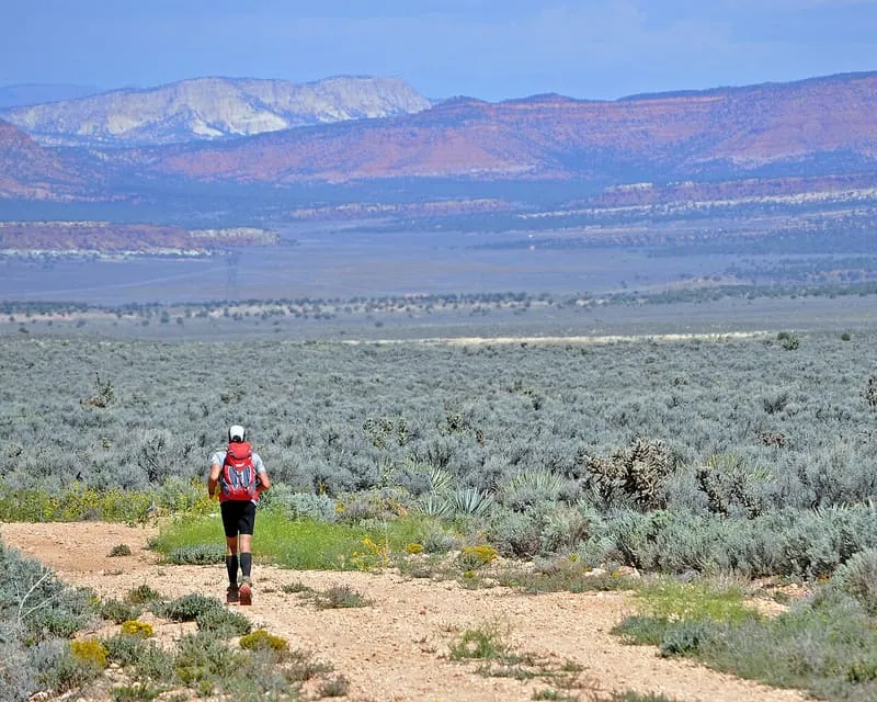 Kaibab Plateau, photograph 2