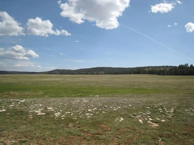Kaibab Plateau, photograph 3