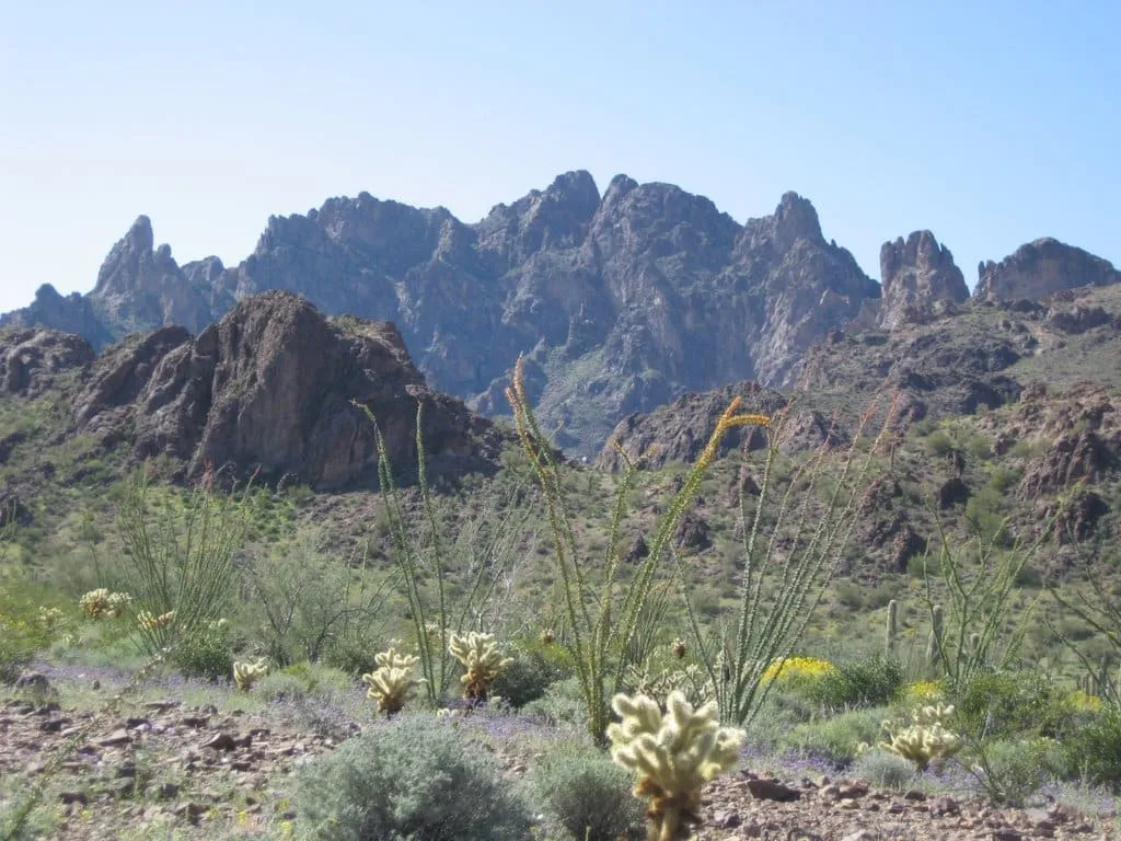 Kofa National Wildlife Refuge