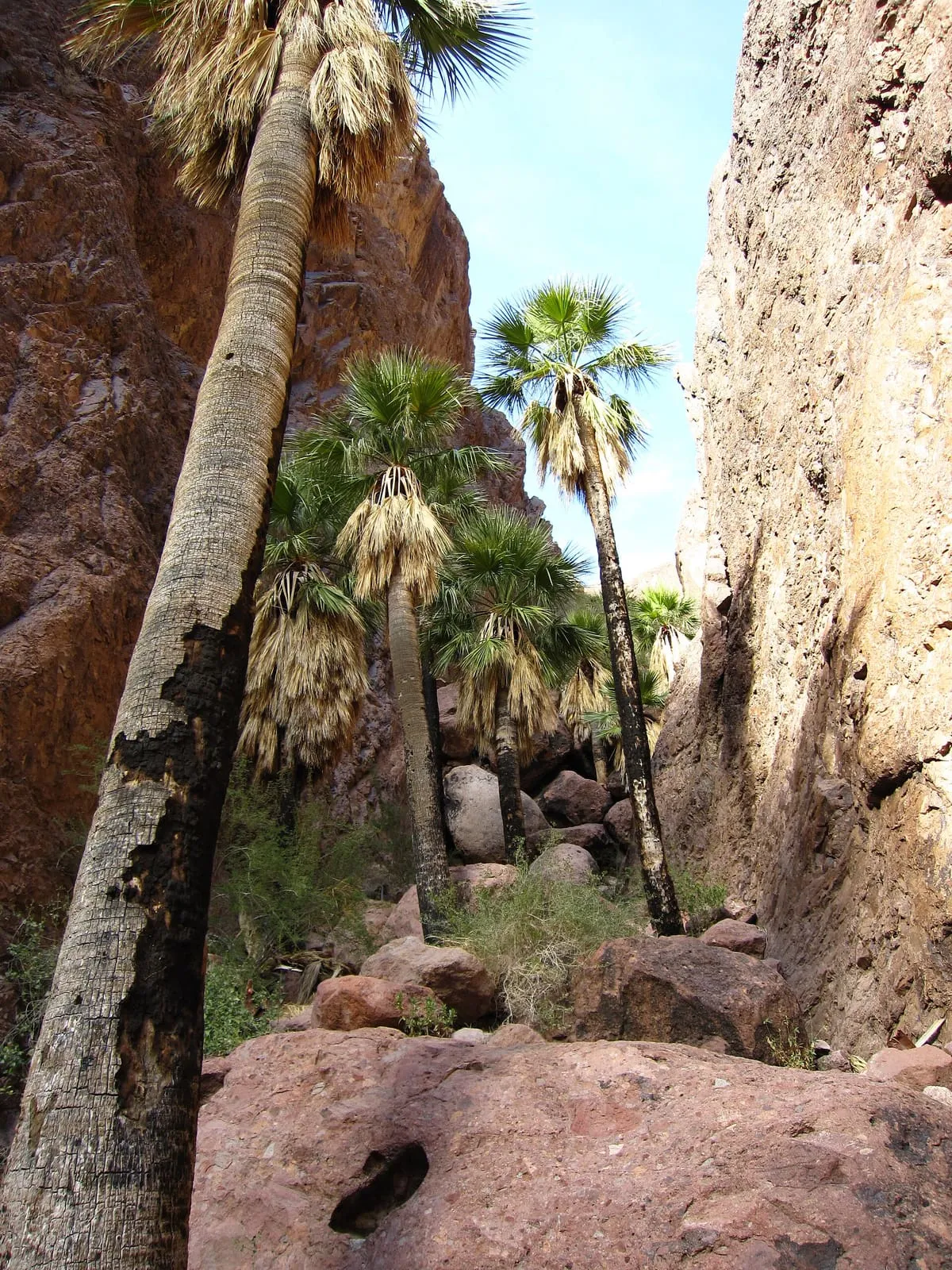 Kofa National Wildlife Refuge