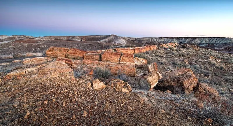 Long Logs Trail, photograph 2