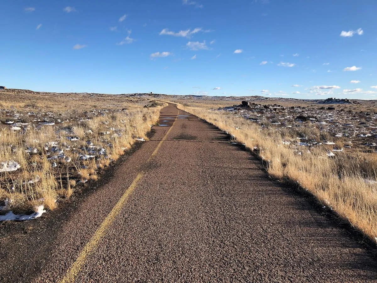 Long Logs Trail