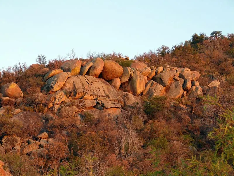 Madera Canyon, photograph 2