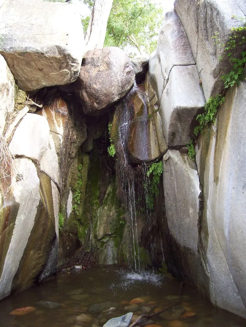 Madera Canyon, photograph 3