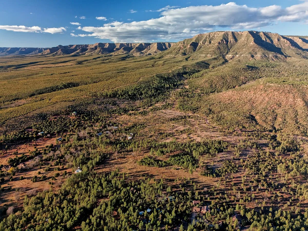 Mogollon Rim