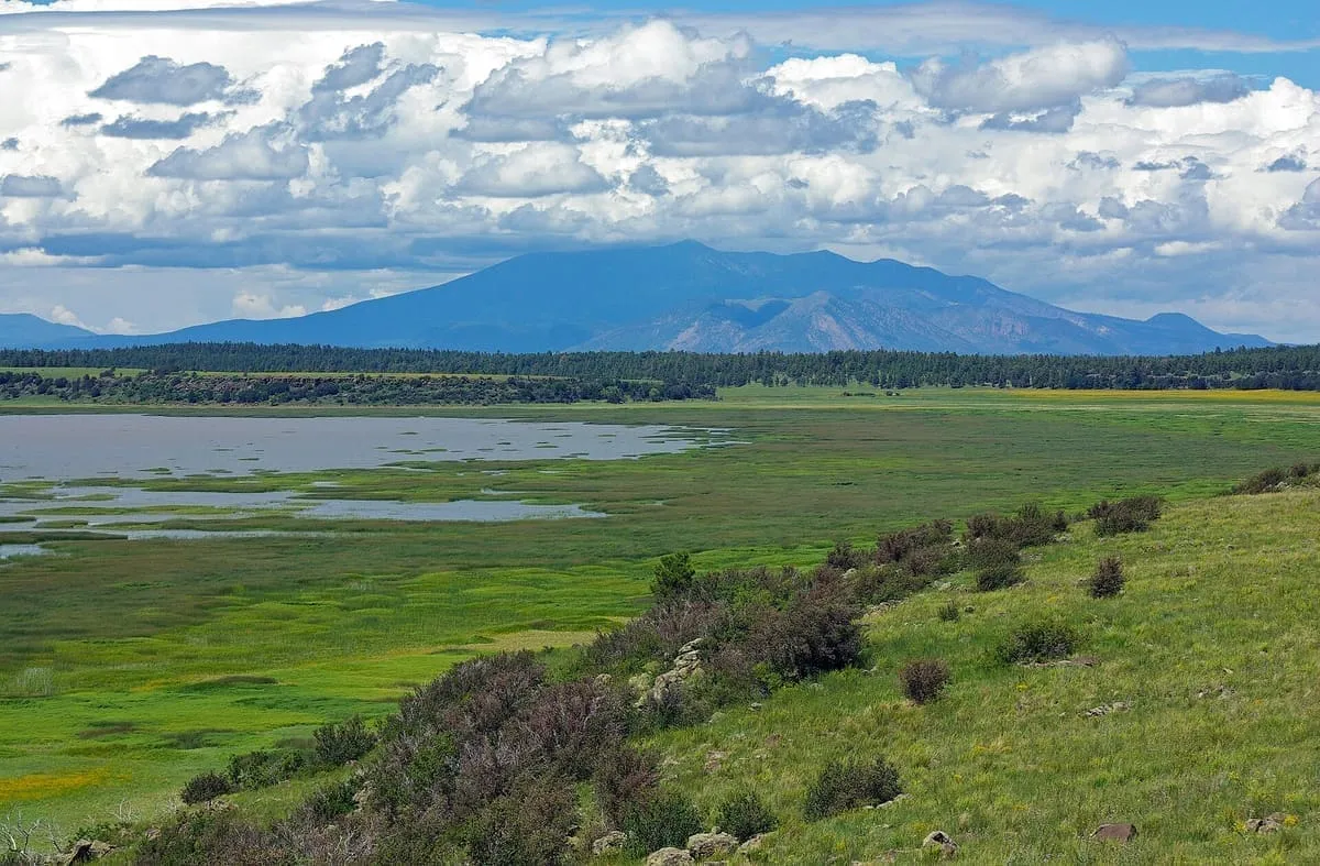 Mormon Lake