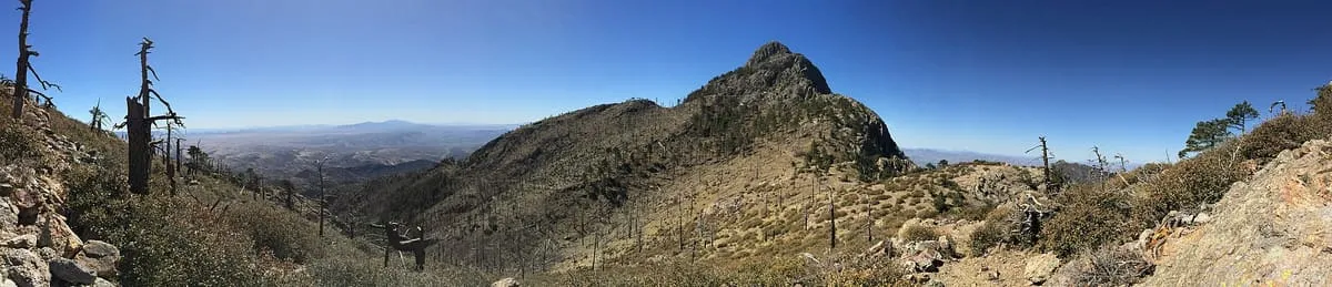 Mount Wrightson