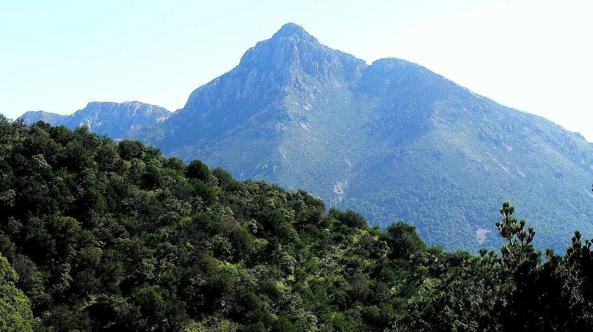 Mount Wrightson