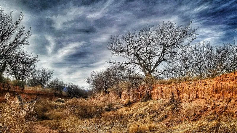 Murray Springs Clovis Site, photograph 2