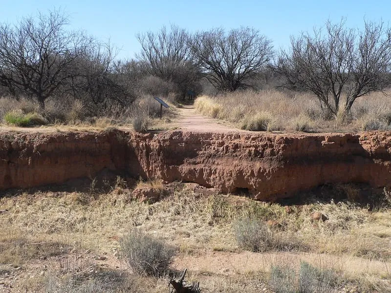 Murray Springs Clovis Site, photograph 3