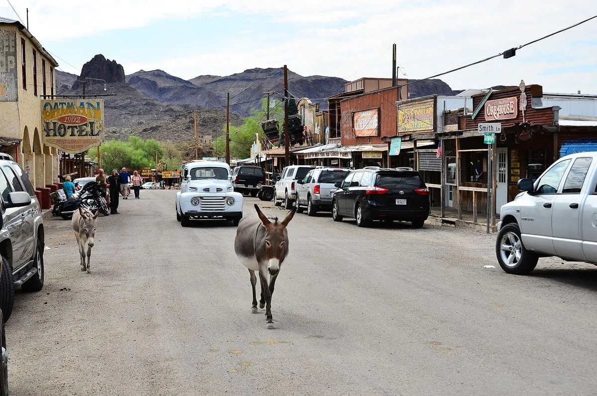 Oatman