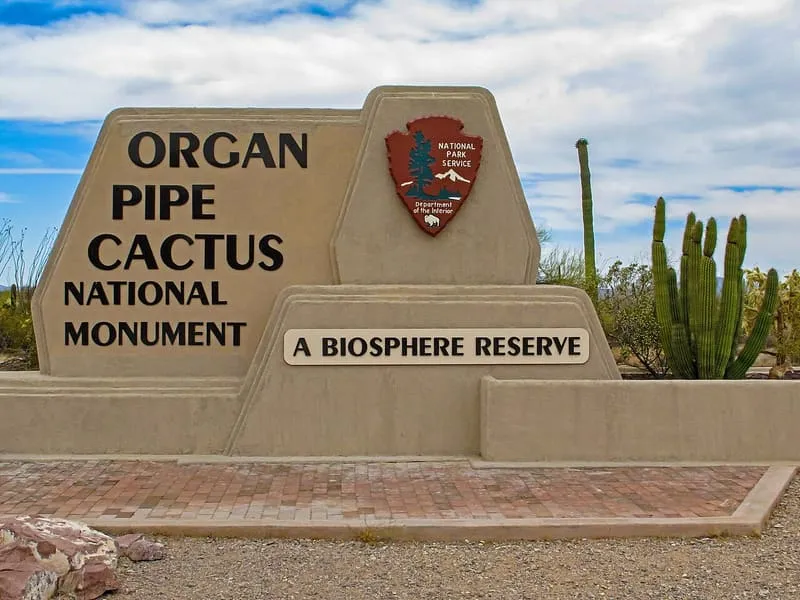 Organ Pipe Cactus National Monument, photograph 3